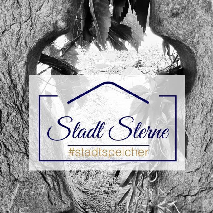 #Stadtspeicher - Gruener Stern Das Apartment Mitten In Der Altstadt Ротенбург-на-Таубере Экстерьер фото